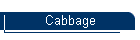 Cabbage