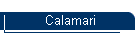 Calamari