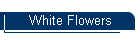 White Flowers