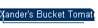 Xander's Bucket Tomatoes